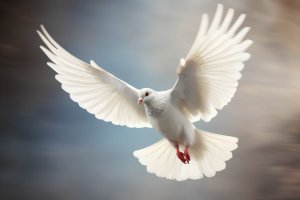 Помощь и поддержка в организации прощания с близким человеком